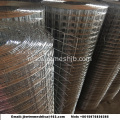 Welded Wire Mesh Galvanized Welded Wire Mesh Roll